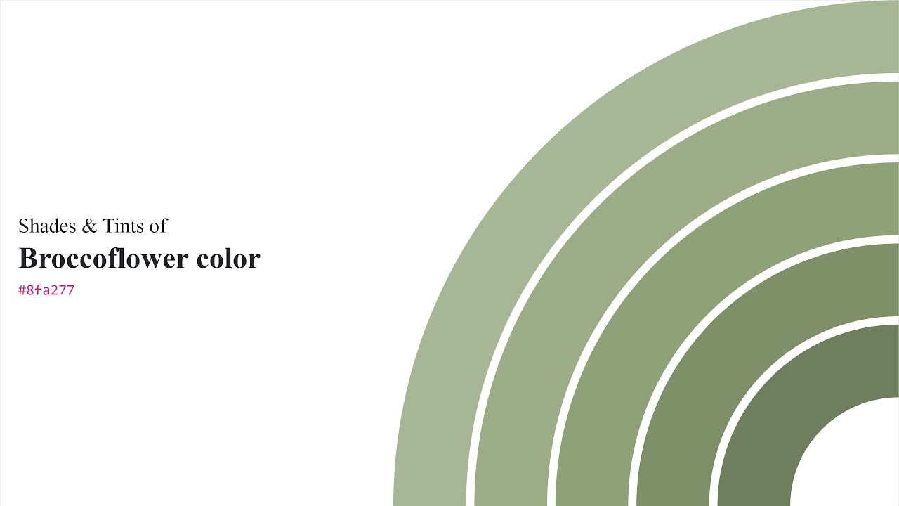Shades & Tints of Broccoflower color #8fa277 A Warm Green color #7f9069 ...