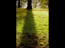 James Bowman "Ombra Mai Fu"