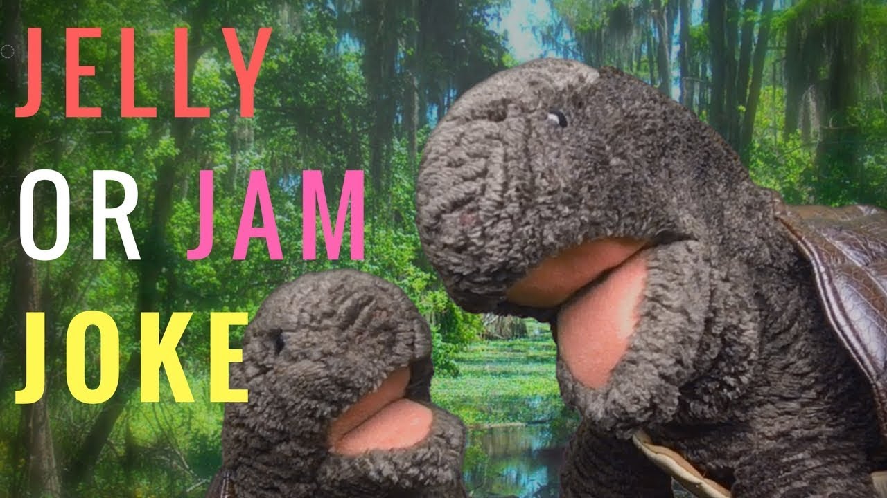 What's the Difference Between Jelly and Jam Dirty Joke YouTube