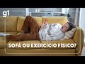 🛋️🤸♀️ Ciência explica por que é tão difícil trocar o sofá pelo exercício regular