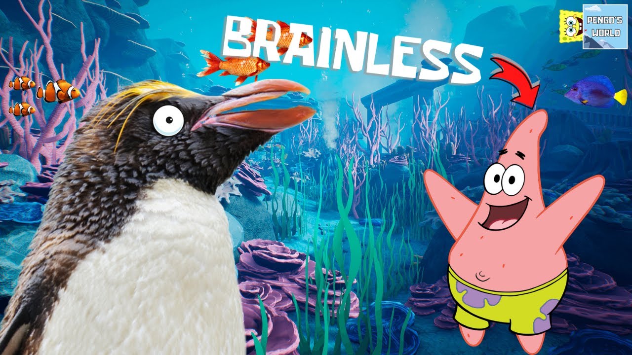 Pengo's World - Starfish Don't Have This!?