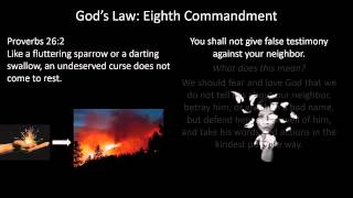 God's Law: Eighth Commandment