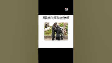 English quiz challenge part 768 #newquiz