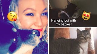 Relaxing day off VLOG| mostly about ANIMALS!! 🖤