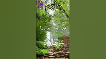 تلاوة خاشعة للقارئ محمد الفقيه من اليمن🇾🇪#انشروا_القران #اكتب_شي_توجر_عليه
