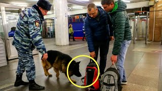 The police burst into tears after opening the suitcase, which was attacked by a dog!