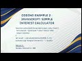 Software coding with examples