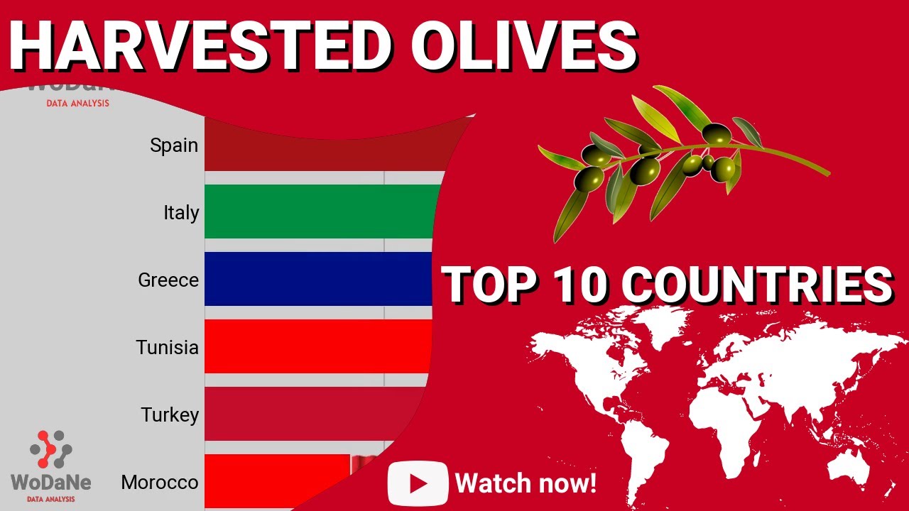 TOP 10 countries by Harvested olives