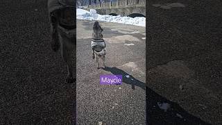 Maycie In Slow Motion Part 5