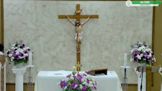 Misa | Mass - July 15, 2026