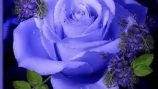 I Santo California Dolce Amore Mio.wmv