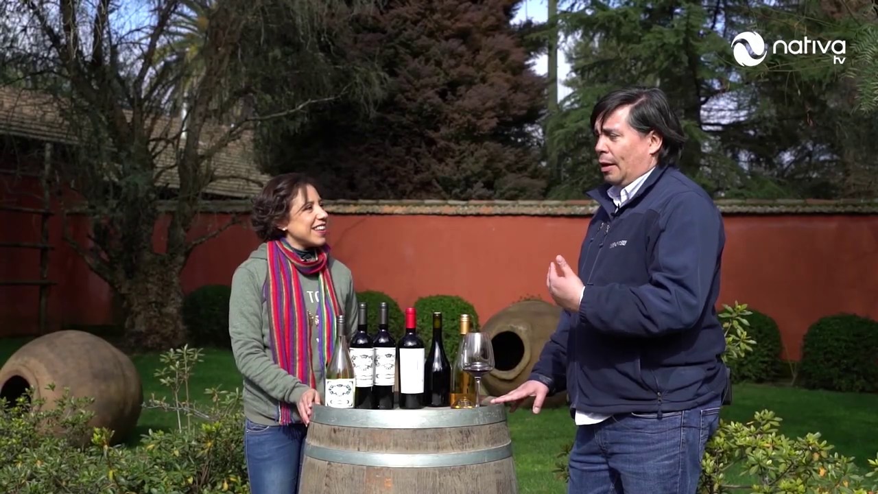 SABER DE VINOS VIÑA TERRANOBLE