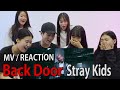 (Eng)[Ready Reaction] Stray Kids(스트레이 키즈) "Back Door" 리액션ㅣ M/V REACTION