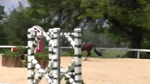 Video of MISS ELIZABETH SWANN ridden by HADLEY BAH...