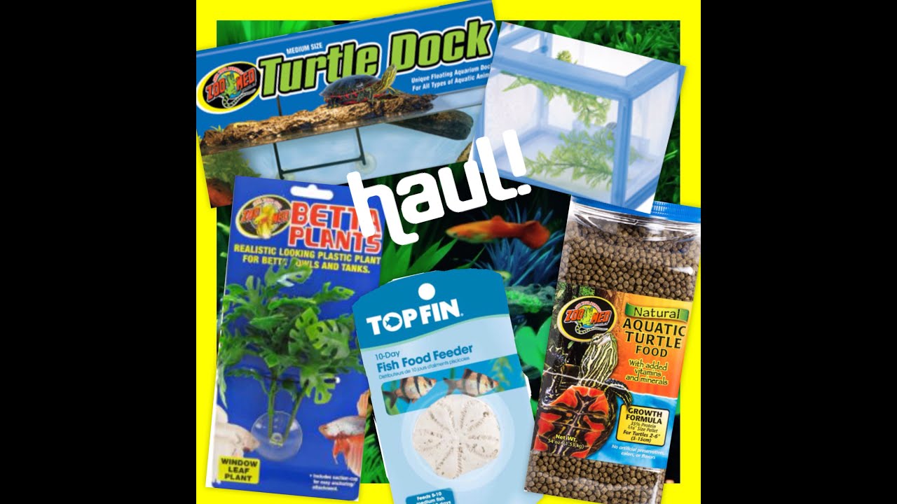 petco fish Turtle And Fish Haul 🐢 🐠