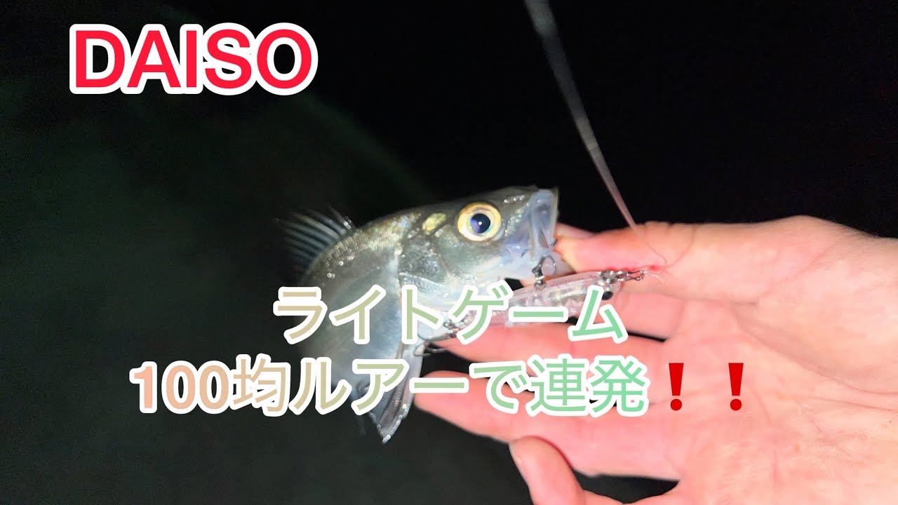 ［ライトゲーム］　ダイソー　100均ルアーで小型シーバス連発‼️ 純正フックは使える？ 