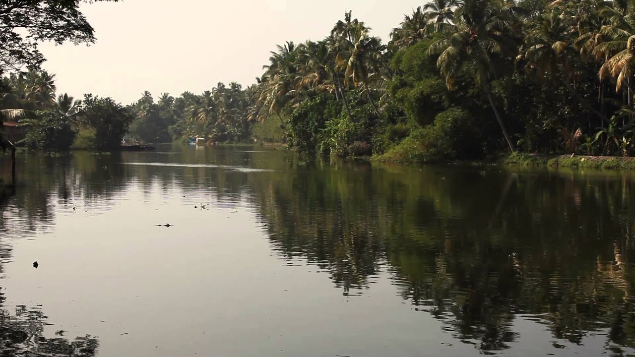 Kerala Backwaters in the Early Morning - Stock Video