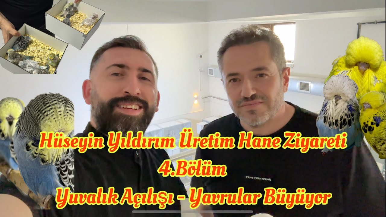 Hüseyin Yıldırım Üretim Hane Ziyareti 4.Bölüm (Yuvalık Açılışı | Yavrular Büyüyor)