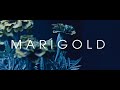 Marigold  the dane feat la james from the netflix series cobra kai