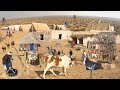 Pakistani Desert Village Life Near India Pakistan Border | Bijnot | Cholistan Desert