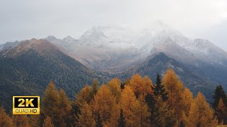 3 Hours of Enchanting Autumn Nature Scenes - Relaxing Piano Music for Stress Relief by Heart Music 340 views 4 months ago 3 hours, 17 minutes