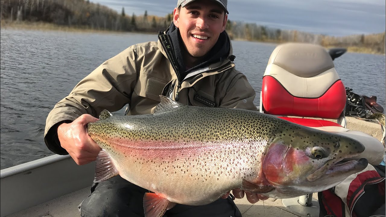 Huge Rainbow Trout- Oct 14, 2017 