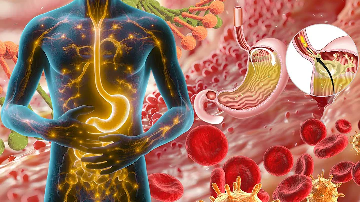 Repairs DNA & Heals Damaged Cells (528Hz EMDR Binaural QT4 Healing Frequency) #2