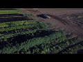 VS ute drone footage