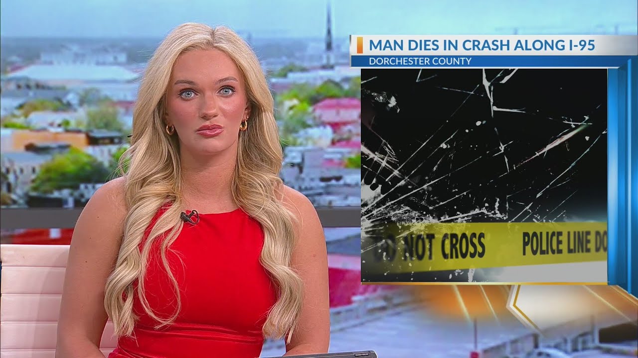 Coroner identifies man killed in I-95 crash - YouTube