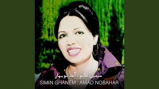 Bigharar - Simin Ghanem