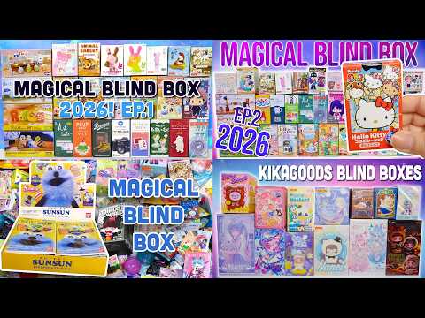 100+ Blind Boxes & Blind Bags! Disney, POP MART, Anime, Sanrio, San-X and MORE!