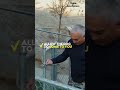 @CesarMillanOfficial .HOW TO GREET A DOG PROPERLY🤝.