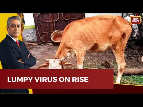 Lumpy Skin Disease: