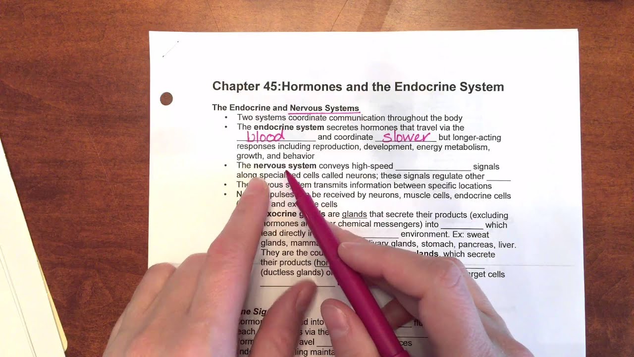 Hormones and the Endocrine System - YouTube