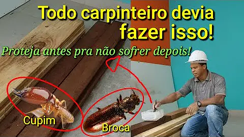 O que passar no palete para não pegar cupim?