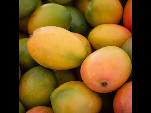 Do you have a fruit tree question for me?