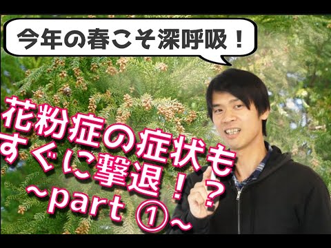 【2020年】花粉症を治すチャンス① 花粉症の原因と根本的改善方法
