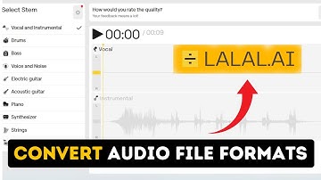 How to Convert Audio File Formats with Lalal.ai 2025?