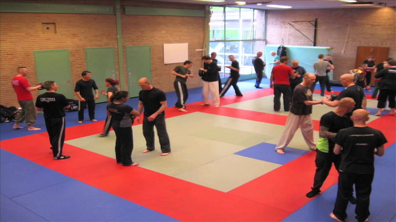 Combat Sambo / Systema Seminar Val Riazanov Timelapse - YouTube