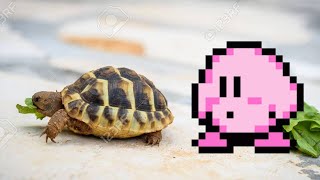 Kirby Player HATES Turtles, Lettuce, and Power Glove (KPGA Stream Highlights 2)