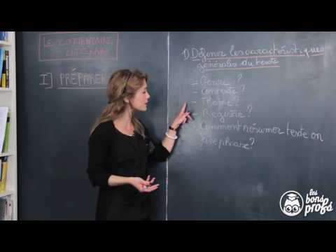 commentaire-littéraire-caractéristiques-d'un-texte-français-1ère-les-bons-profs-youtube