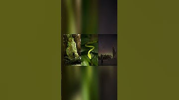 What Is 9:16 Aspect Ratio?  | WeGotMedia | Digital Media Tips & Tutorials