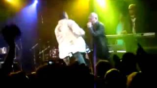 Pitbull Golpea A Fanatico Que Le Tira Con Basura