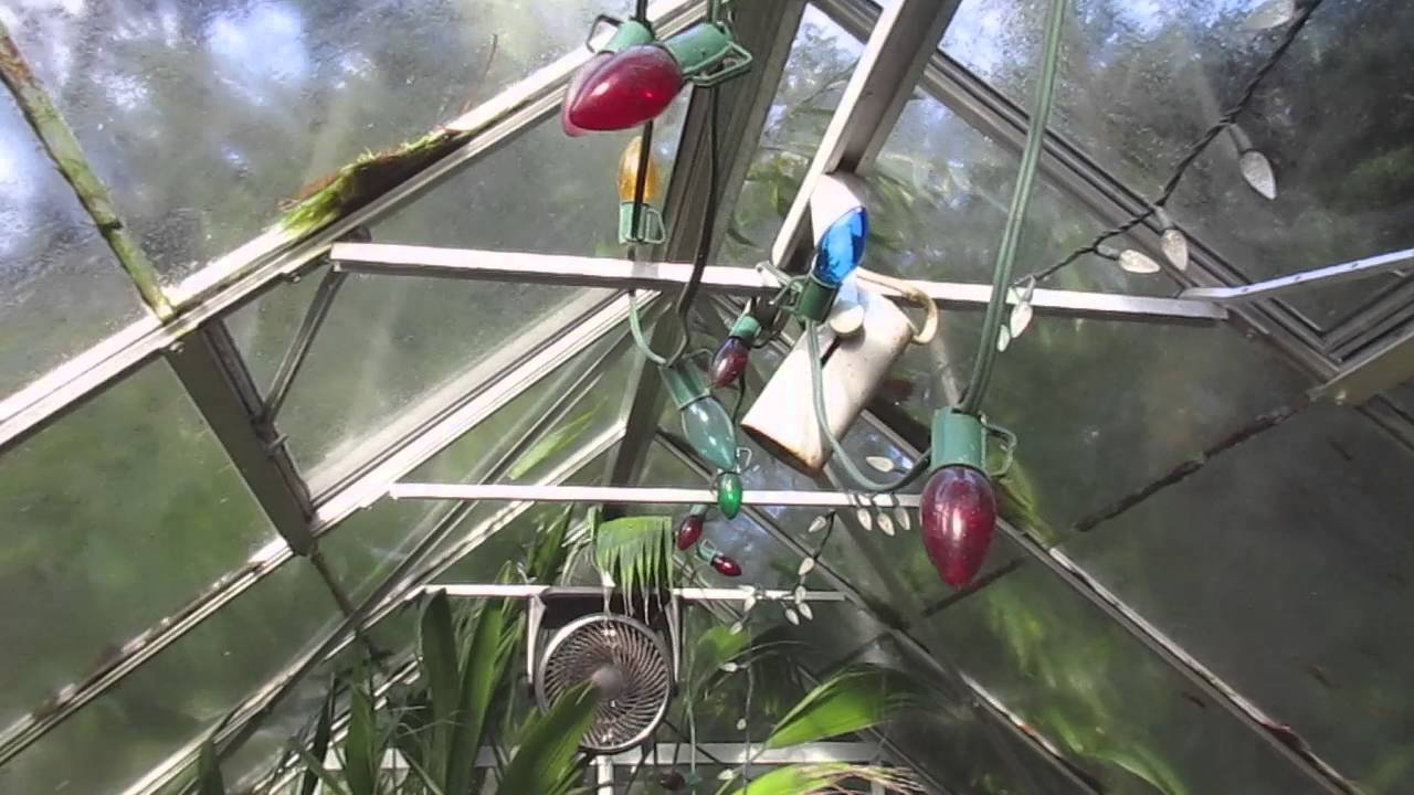 Easy Way to Heat a Greenhouse YouTube