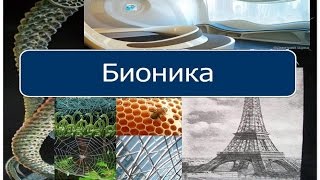 Реферат На Тему Бионические Формы В Создании Предметной Среды И Интерьера Реферат На Тему Бионические Формы В Создании Предметной Среды И Интерьера