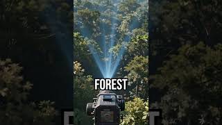 Forests aren’t silent #tech #innovation #science