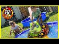 Monster Jam Toy Trucks - Color Change Monster Truck SPLASH PAD Sprinkler Race!