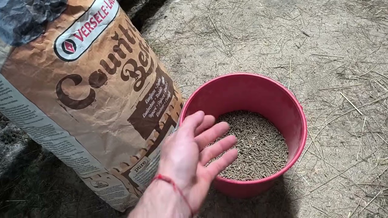 Ako udržujem zdravý chov králikov a čo všetko používam pre efektívny chov 