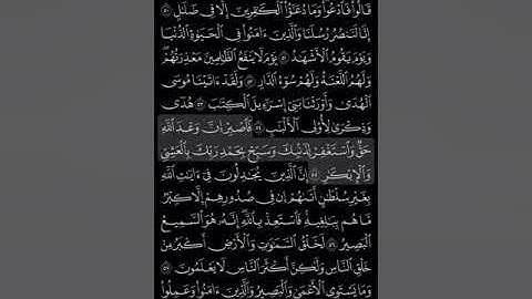 سورة غافر | القارئ ماهر المعيقلي