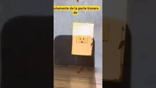 #cucarachas #viralvideo #fyp